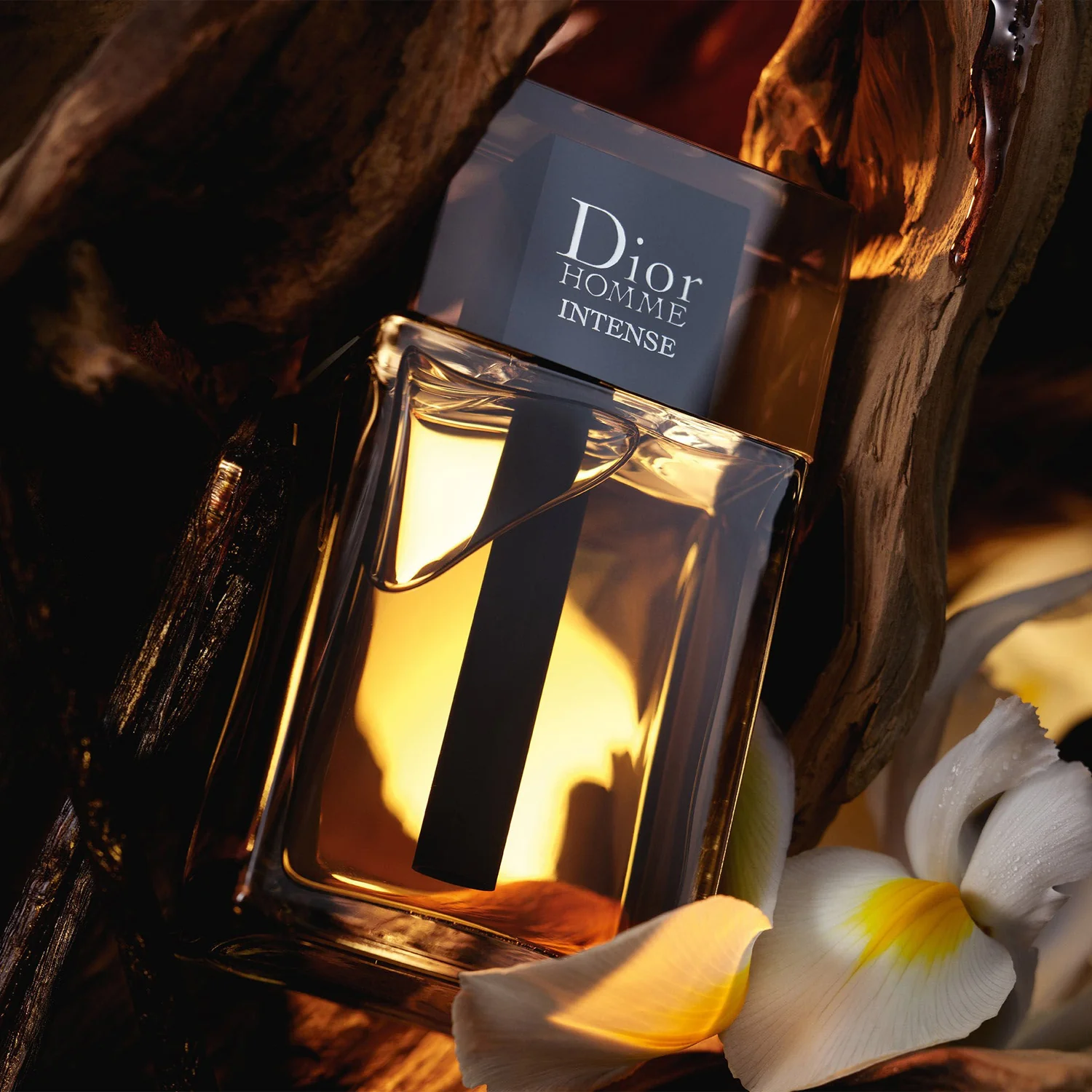 Men's Dior Homme Intense EDP Spray 3.4 Oz - Image 2