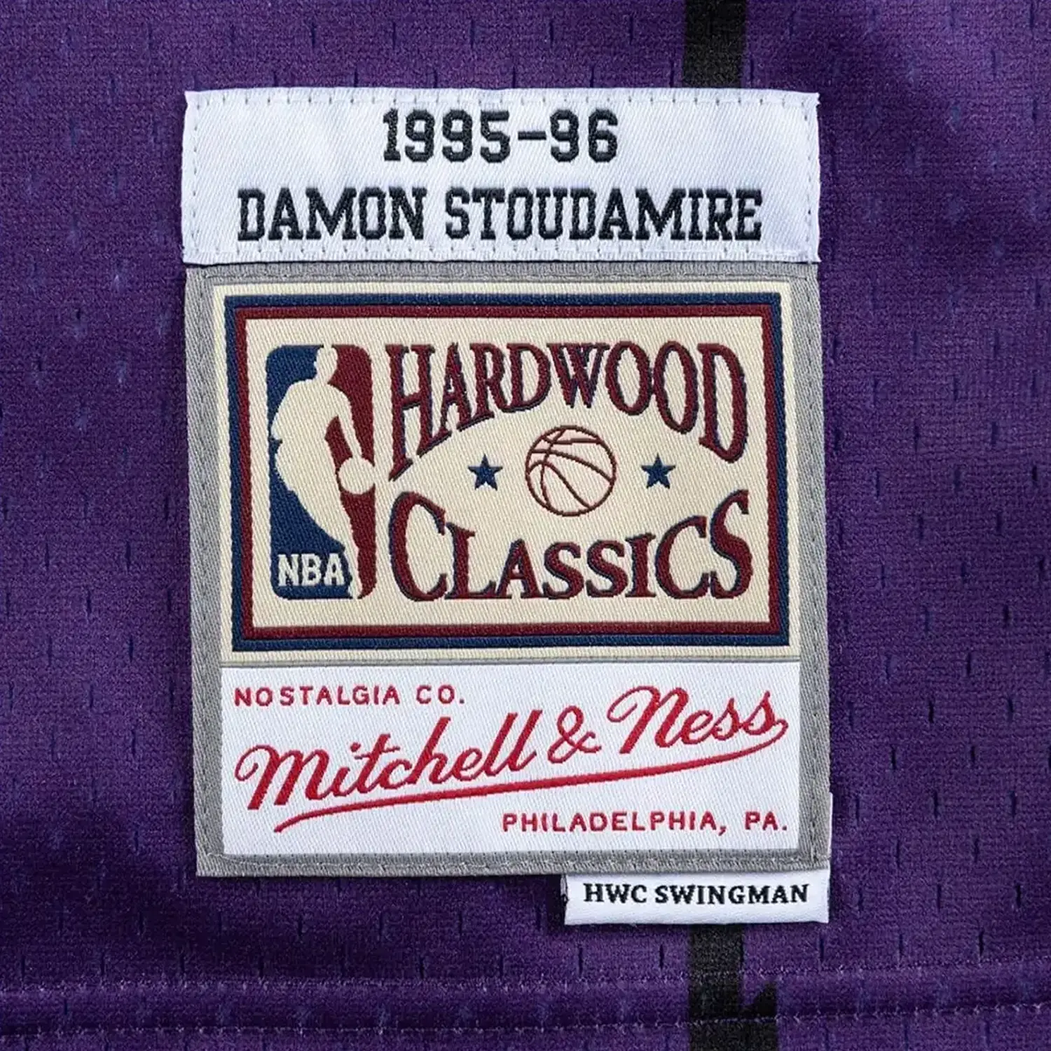 Swingman Damon Stoudamire Toronto Raptors 1995-96 NBA Jersey - Image 3