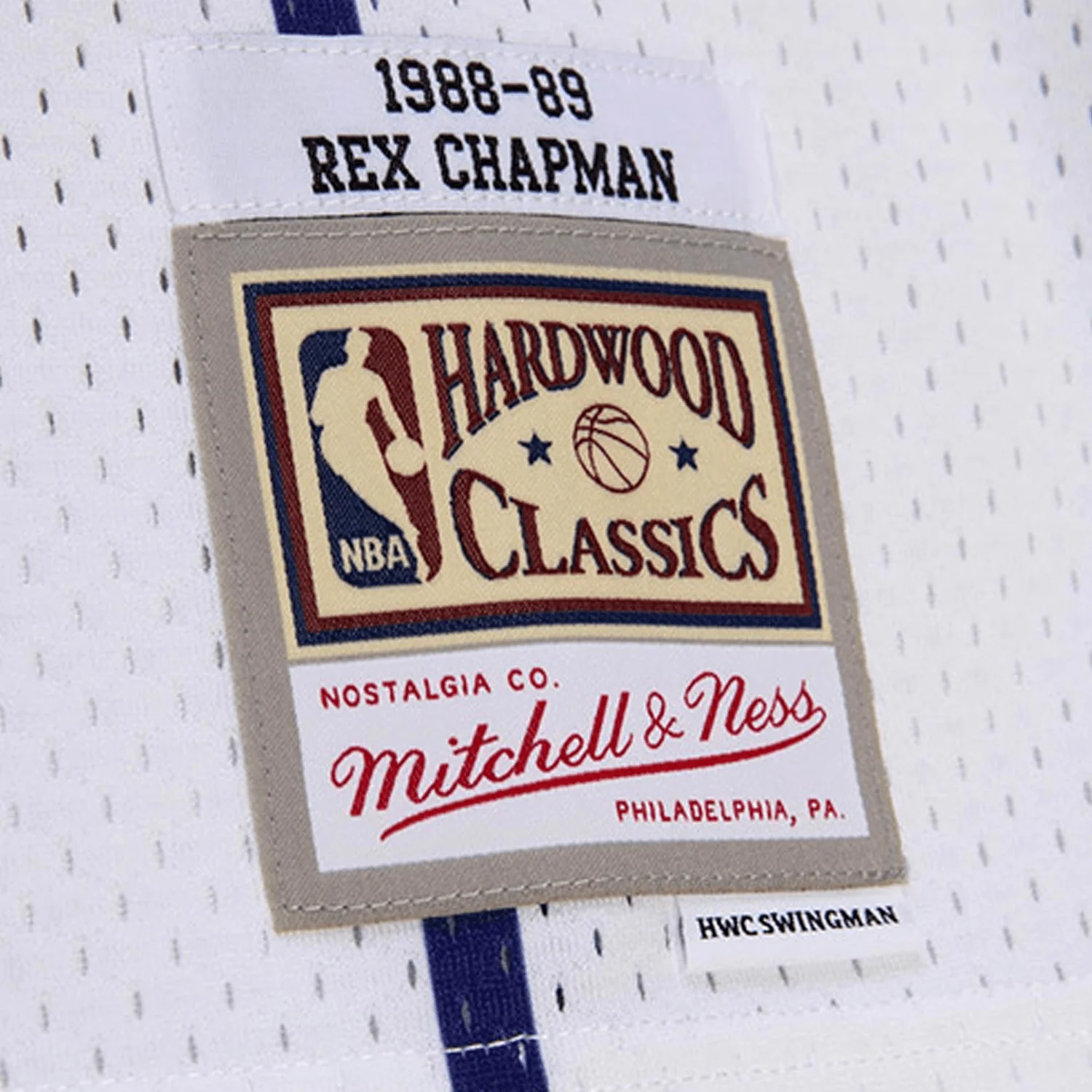 Swingman Rex Chapman Charlotte Hornets NBA 1988-89 Jersey Youth - Image 3