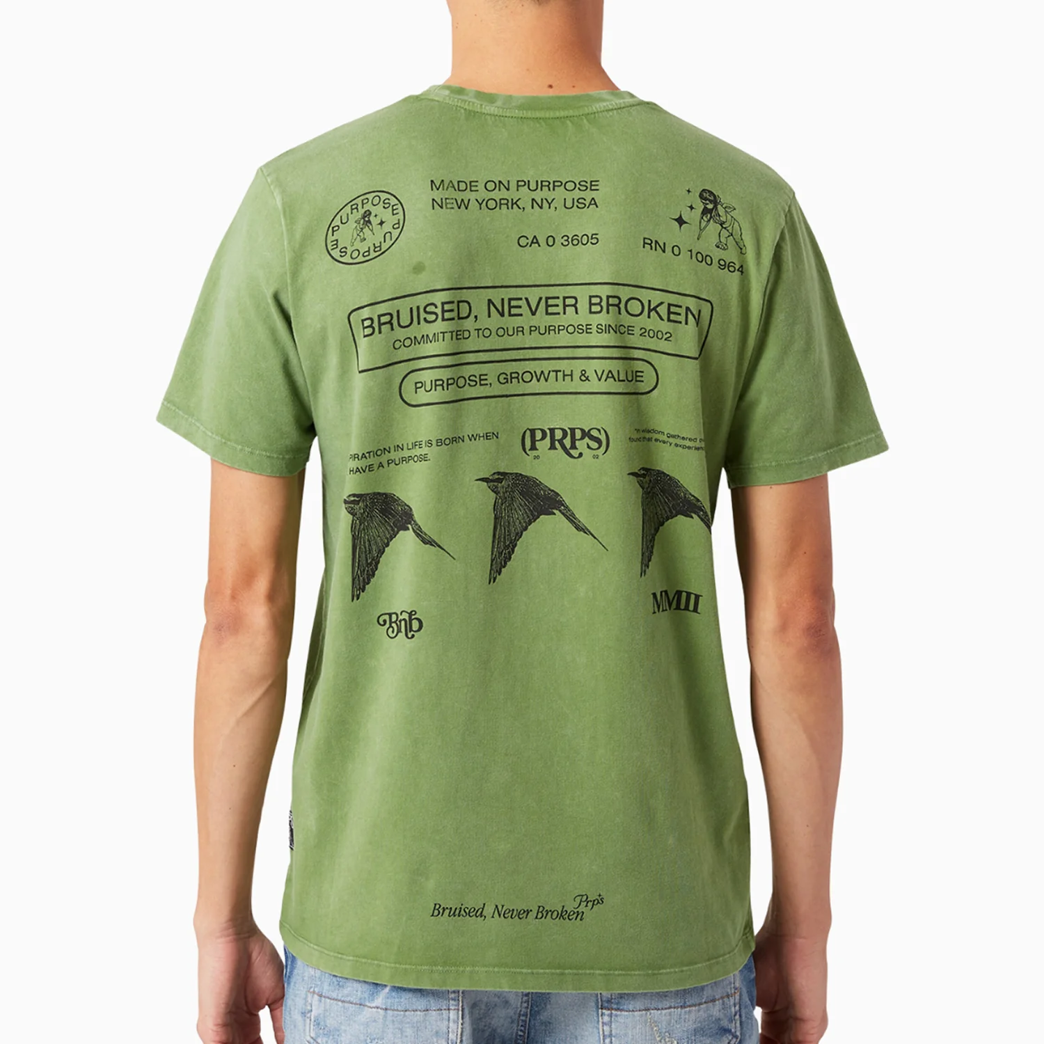 Men's Species T Shirt and Shorts Outfit - Image 5