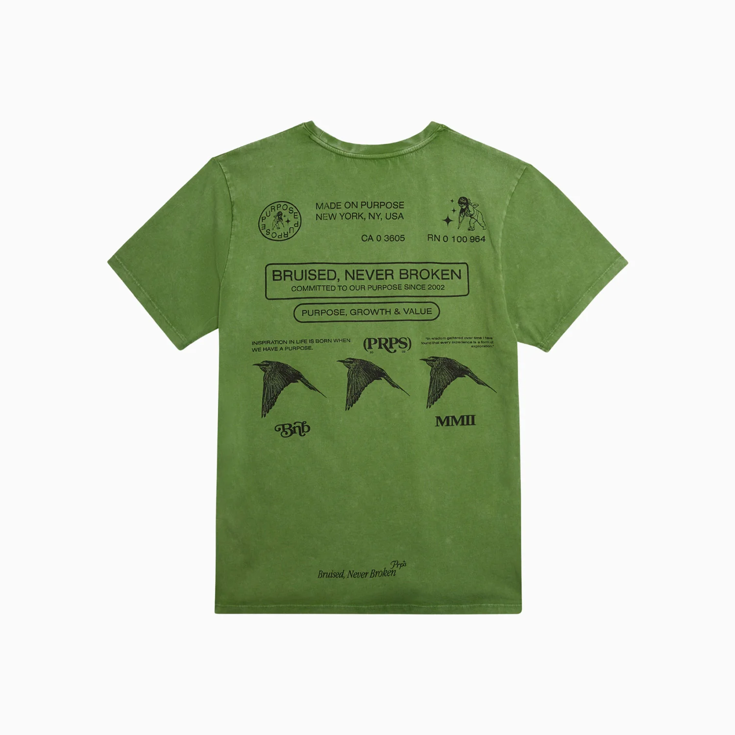 Men's Species T Shirt and Shorts Outfit - Image 7