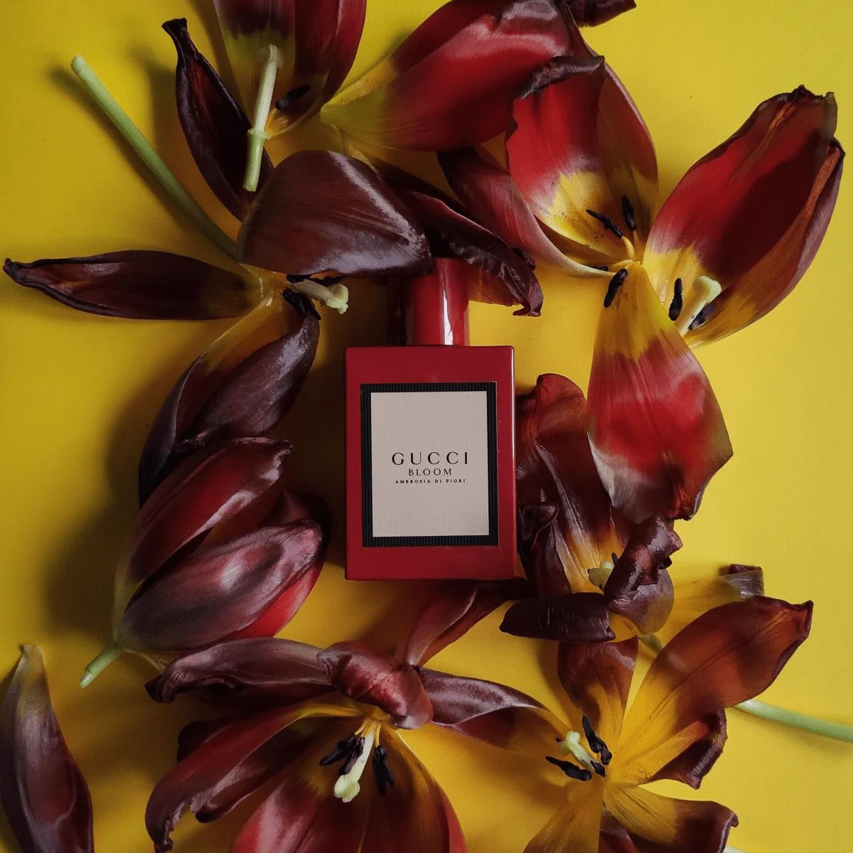 Women's Gucci Bloom Ambrosia Di Fiori Eau 3.3 Oz - Image 2